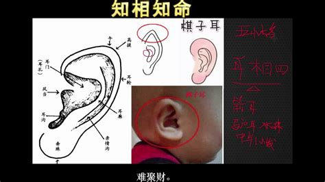 耳毛 面相|面相入门